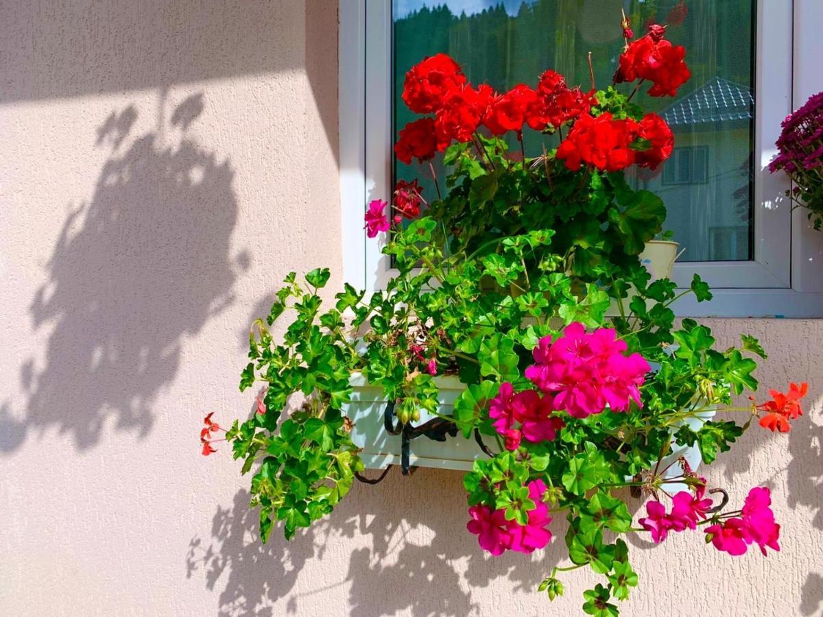 Anelisse Inn موياشيو دي سوس المظهر الخارجي الصورة